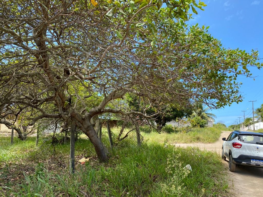 Lote / Terreno