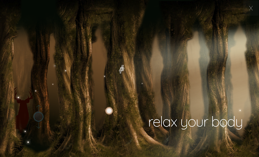 Enchanted Forest Meditation