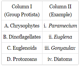 Kingdom Protista