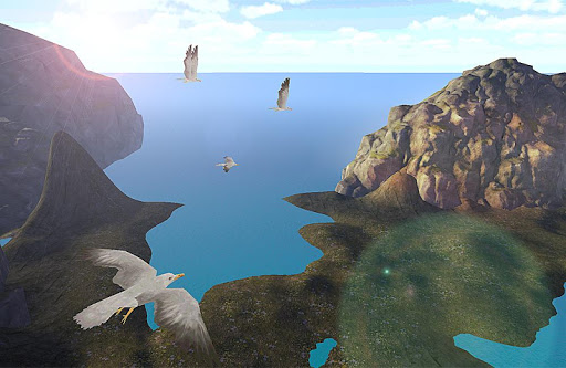 Seagull Fly Simulator