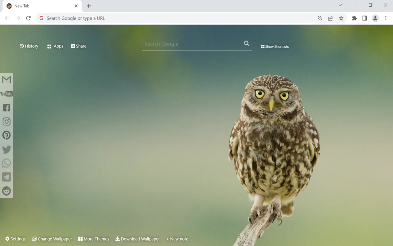 Owl Wallpaper New Tab Preview image 2