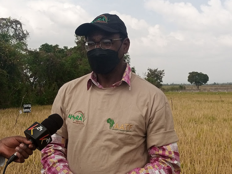 Emmanuel Okogbenin, the director in charge of programmes and commercialisation at the African Agriculture Technology Foundation on Friday.