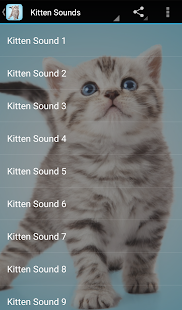 Kitten Sounds - 螢幕擷取畫面縮圖