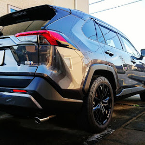 RAV4 AXAH54