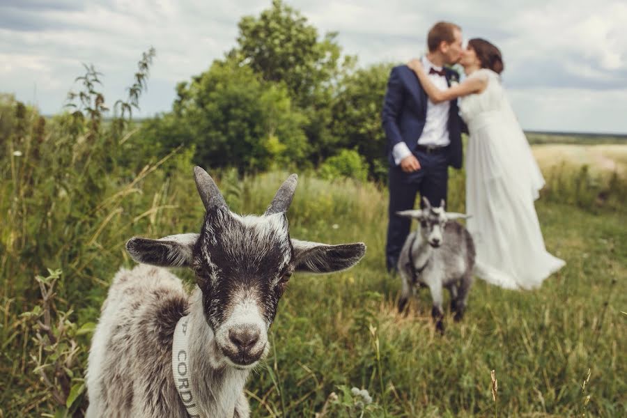 Fotógrafo de casamento Yuriy Koloskov (yukos). Foto de 12 de julho 2015