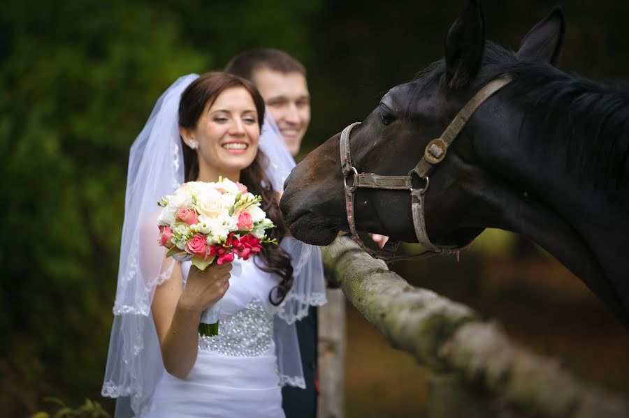 Fotografo di matrimoni Gennadiy Danilevich (dendi67). Foto del 5 febbraio 2014