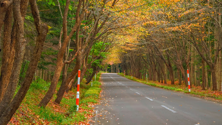 BRZの秋の気配・紅葉と愛車・岩木山・紅葉ドライブ・小旅行に関するカスタム事例の投稿画像9枚目