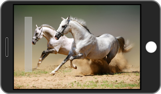 How to download Moment Shot Camera 1.1.0 apk for pc