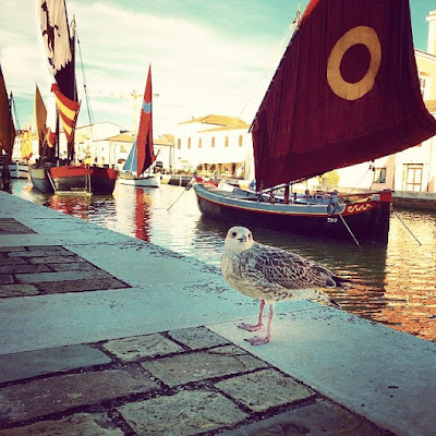 #cesenatico#romagna#molo#mare#sea#italy#igeritalia #iger_italia#gabbiano di teskiaz