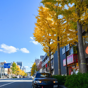 ロードスター NB6C