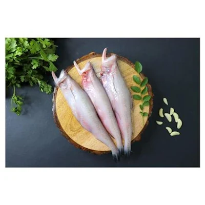 Fish - Bombay Duck / Bombil, Cleaned - 500 g