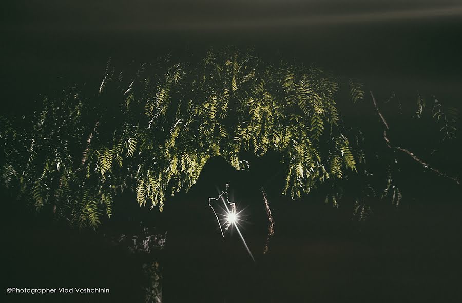 Fotógrafo de casamento Vladislav Voschinin (vladfoto). Foto de 24 de dezembro 2017