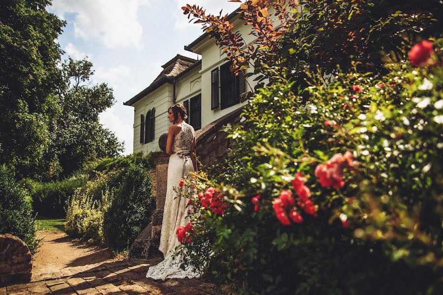 Wedding photographer Gábor Badics (badics). Photo of 26 February 2019