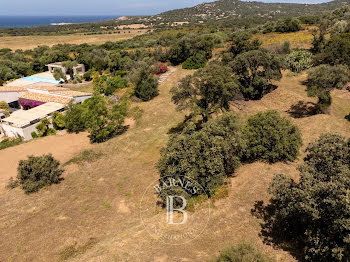 terrain à batir à Lumio (2B)