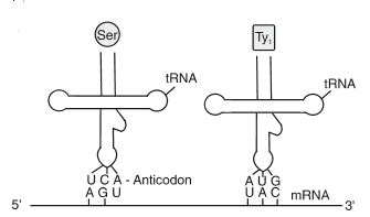 Solution Image