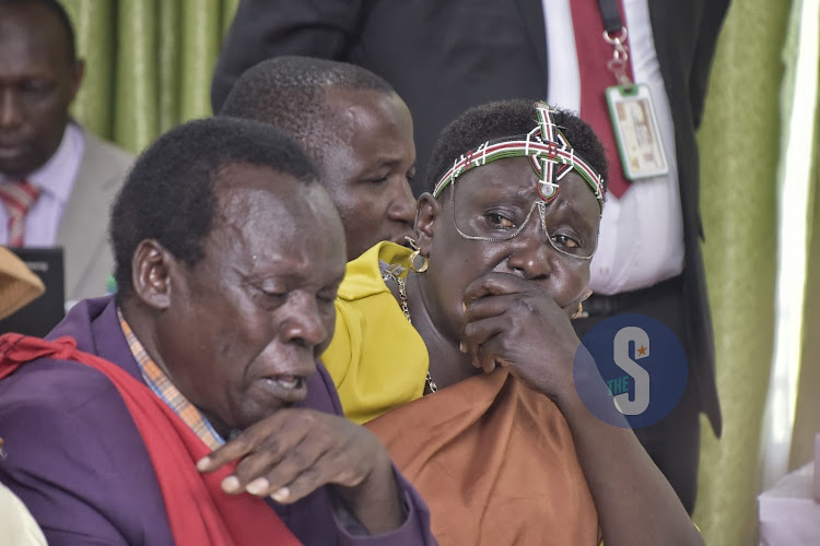 Former Bugoma county Assembly Deputy speaker Jane Chebet from Trans Nzoia/Sabaot Community Association at bomas for the National dialogue committee talks on September 25,2023