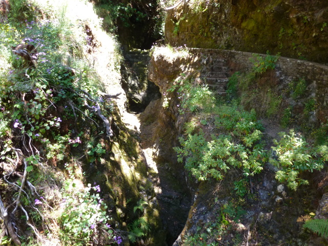 MADEIRA, Senderismo por sus Levadas y algo más - Blogs de Portugal - LEVADA DO RISCO, LEVADA 25 FONTES, PORTO MONIZ (12)