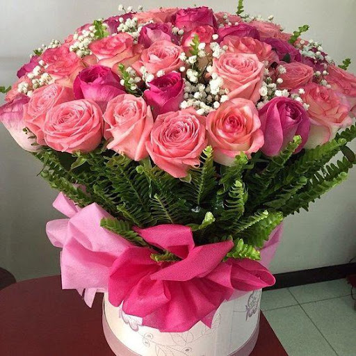 Flowers and Roses Images Gif