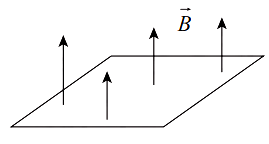 Magnetic flux