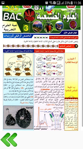 دروس العلوم الطبيعية للاقسام النهائية مطويات كليك