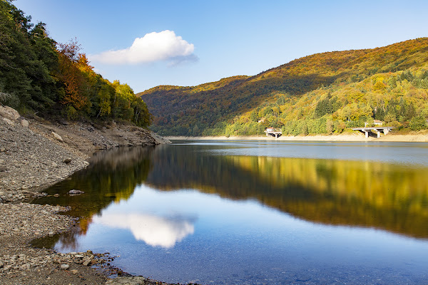 Riflessi d'autunno di Giorgio Dominici