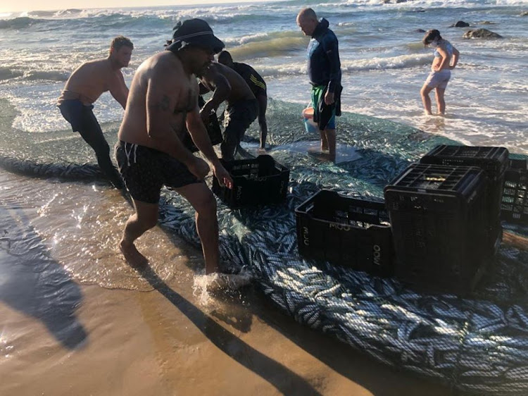 Thousands of sardines were netted on Ramsgate and Margate beaches on Monday morning.