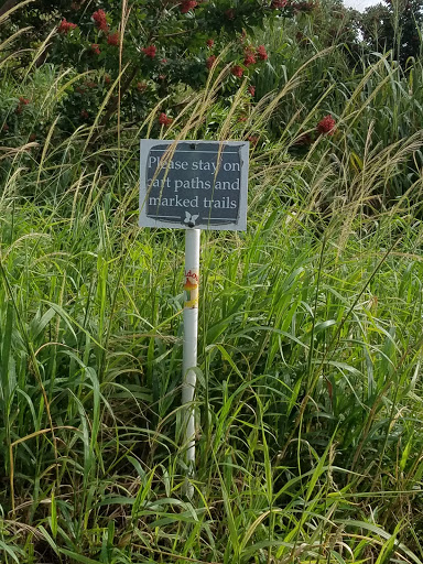 Lake Loop Sign #2