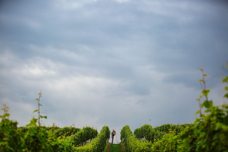 Bröllopsfotograf Bartosz Wanecki (wanecki). Foto av 17 augusti 2020