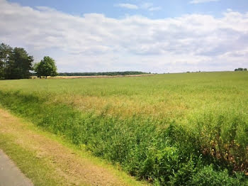 terrain à Allogny (18)