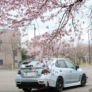 WRX STI VAB