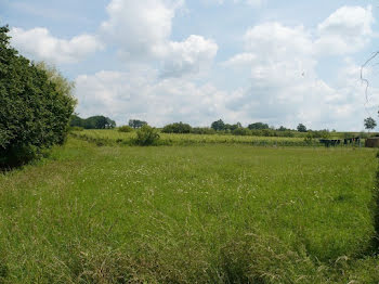 terrain à Castillon-la-Bataille (33)