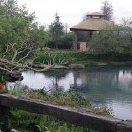 水岸森林會館