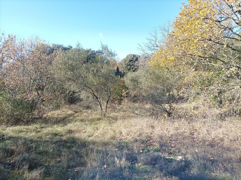 Vente terrain  1900 m² à Moulès-et-Baucels (34190), 180 000 €