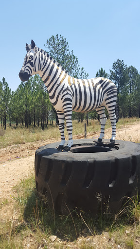 The Plaster Zebra