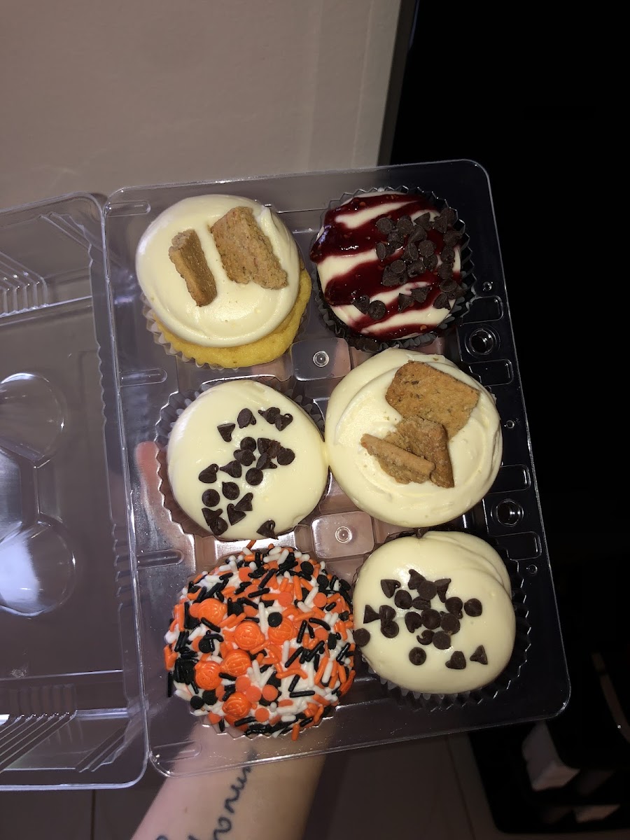 From top left: cheesecake w/ gf graham cracker, raspberry cheesecake, chocolate cheesecake, halloween (vanilla)