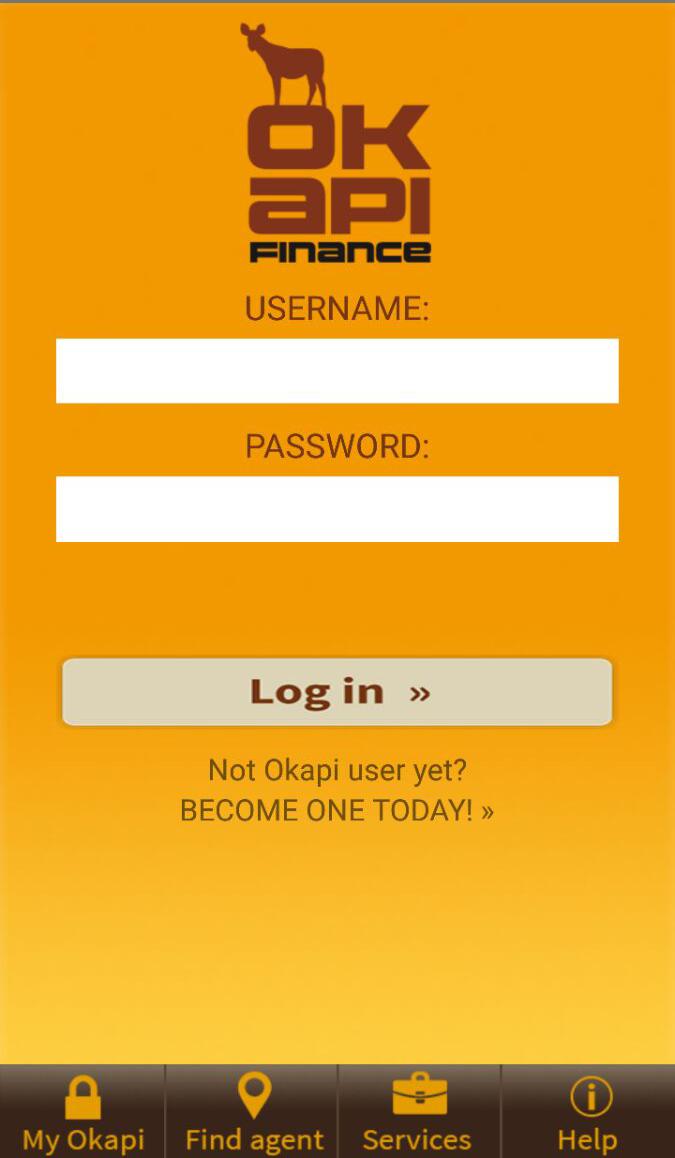 Okapi Finance Screen 2
