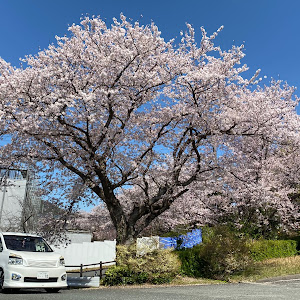 ヴォクシー ZRR70W