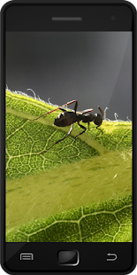 How to mod Ants patch 1.0 apk for pc