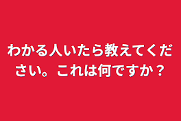 わかる人いたら教えてください。これは何ですか？