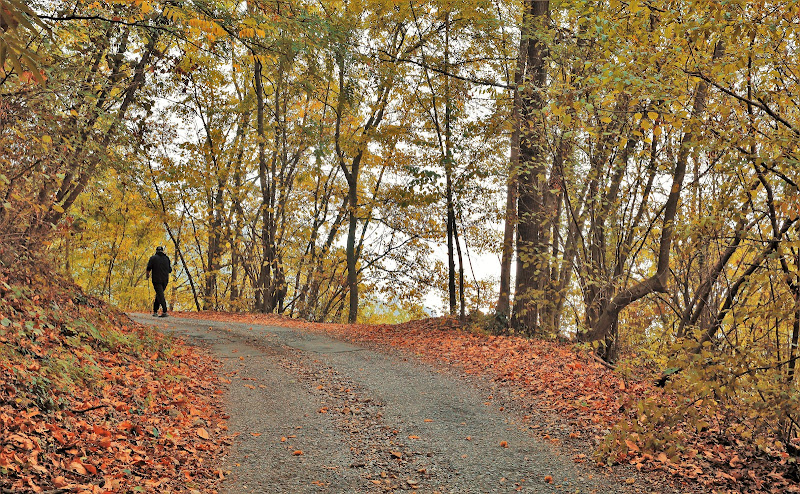 I colori caldi e avvolgenti dell'Autunno di Rosaria_Scrofani