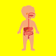 Learning body parts for kids offline flashcards Download on Windows