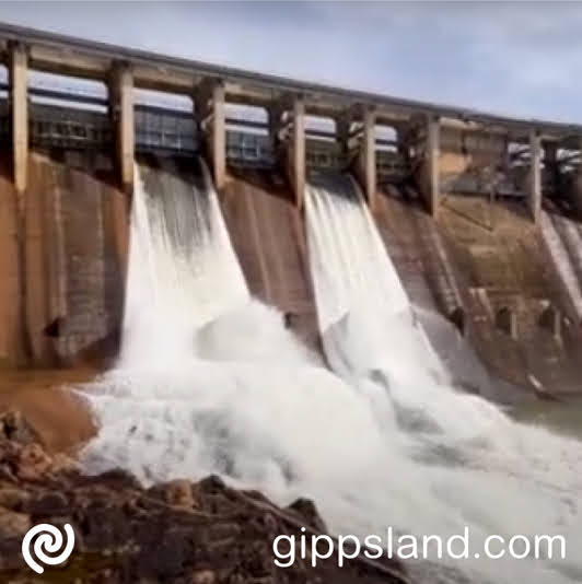 Southern Rural Water manages seven water storages in southern Victoria, like dams built on a river or creek which helps lessen flood impacts and regulate in the flow of water systems