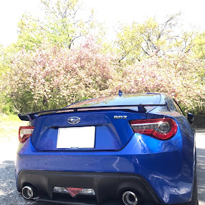 BRZ ZC6