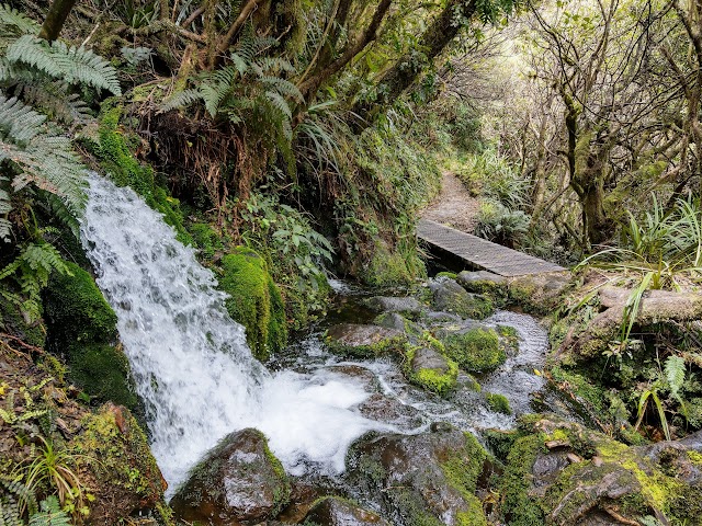 Wilkies Pools Loop Track