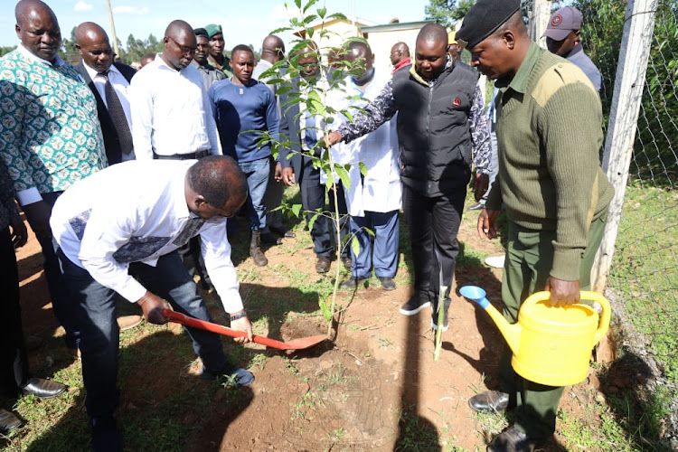 Kakamega Governor Wycliffe Oparanya plants a tree after commissioning the Lumino containarised water projectin Likuyani on Thursday