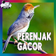 Download Masteran Prenjak Gacor Terbaik For PC Windows and Mac 1.0