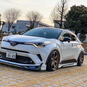 C-HR ZYX10