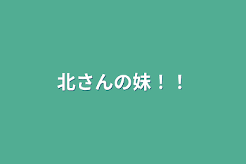 「北さんの妹！！」のメインビジュアル