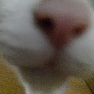 ロードスター ND5RC