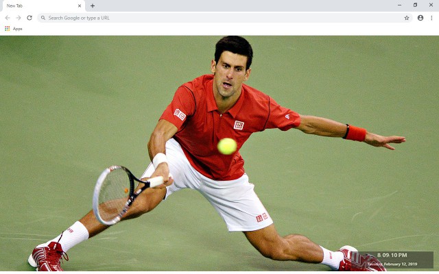 Novak Djokovic New Tab Theme